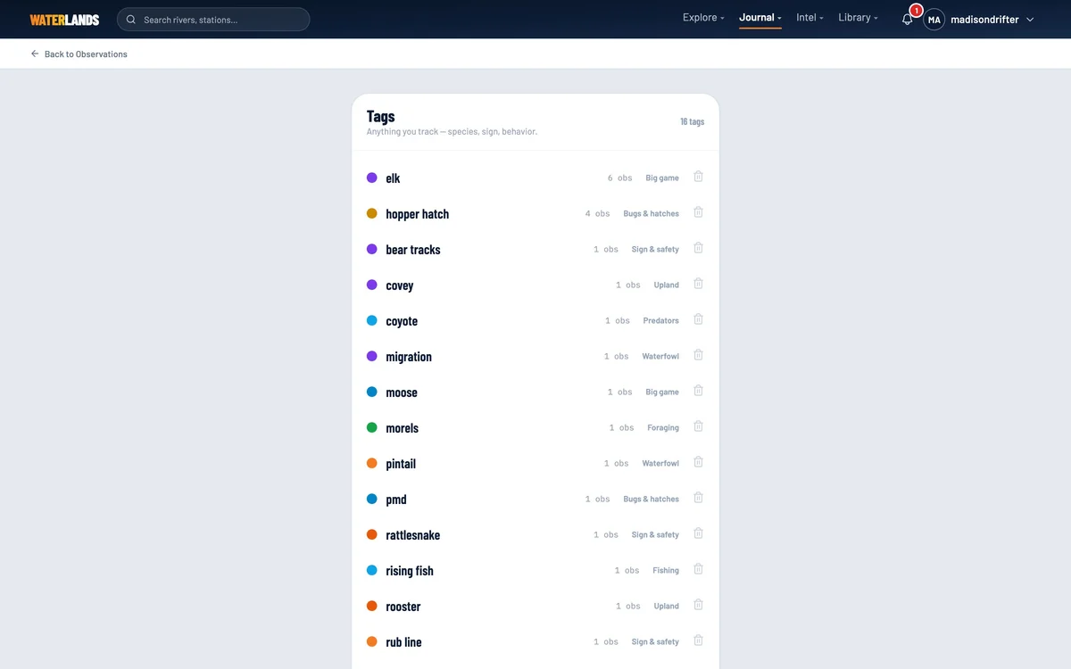 The tag manager with colored tags grouped into scopes